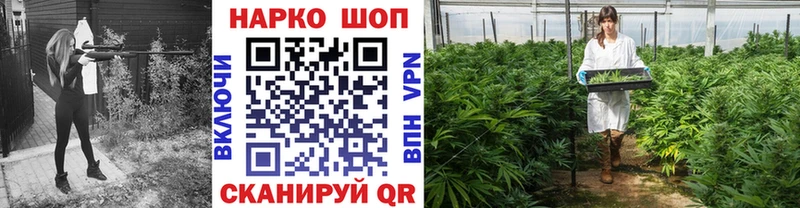 Как найти наркотики Мостовской Гашиш 